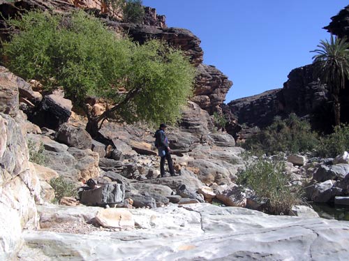 Weg durch die Schlucht