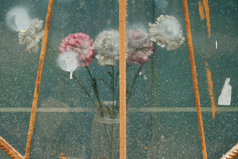 Blumen-Fenster
