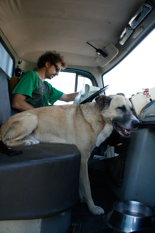 Hundstage