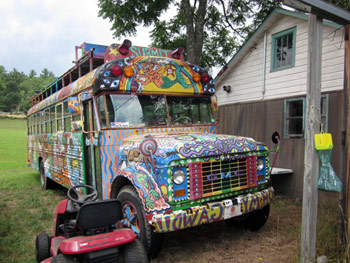 Hippiebus Katwise