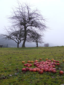 Stimmung in der Oberpfalz