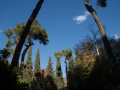 bild-3566