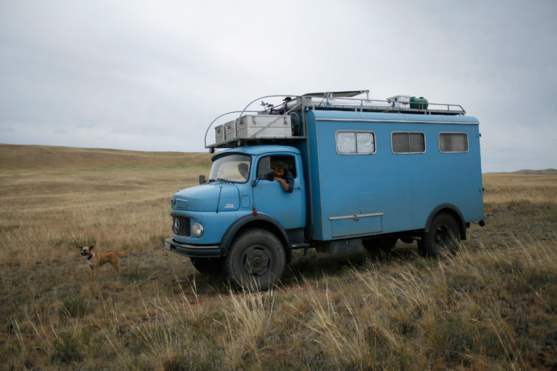 Steppe Steppe