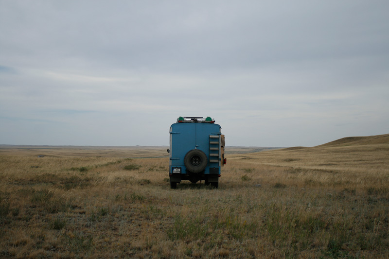 Steppe Steppe
