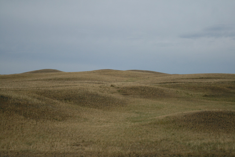 Steppe Steppe