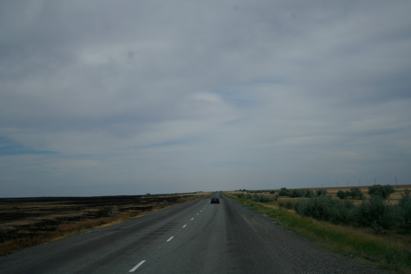 Steppe Steppe