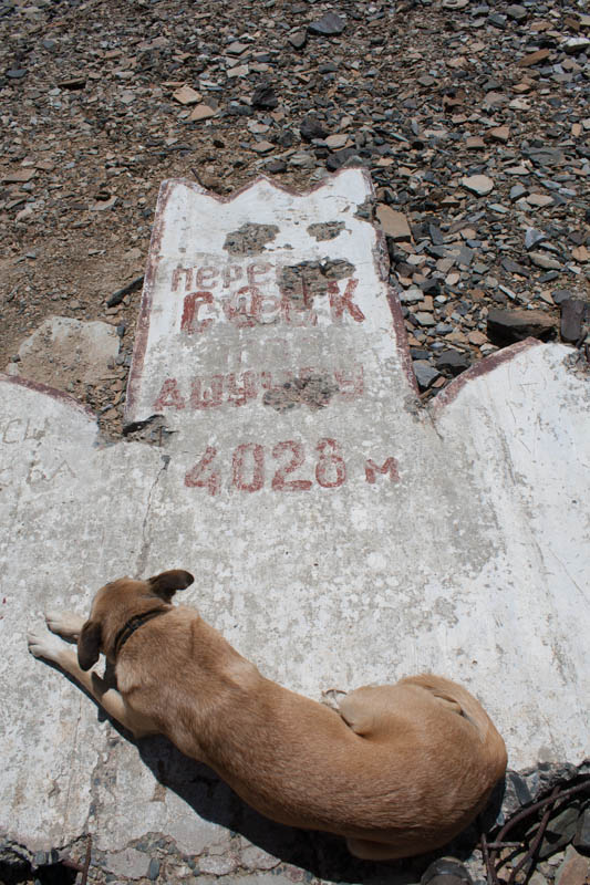 Barskoon