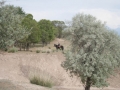 Issyk Kul Issyk Kul