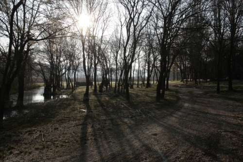 morgenstund morgenstund