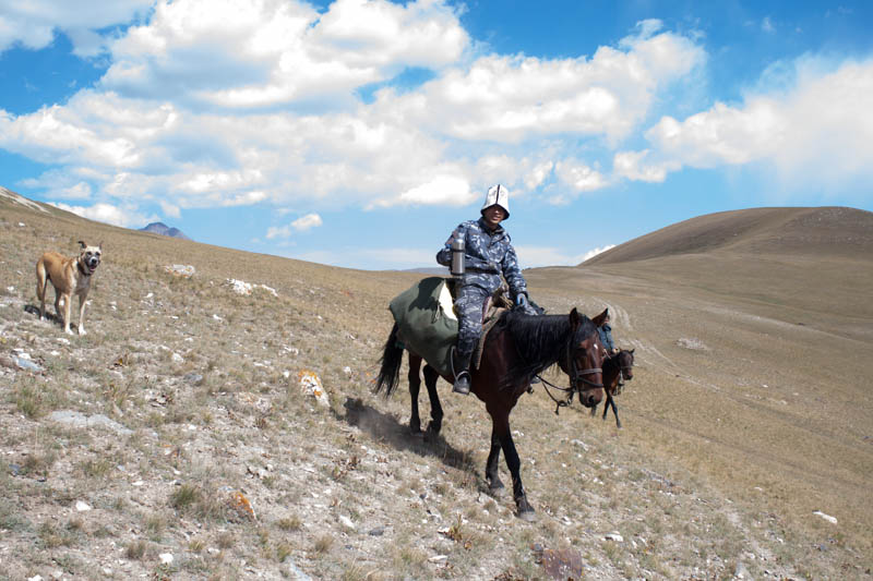 Pferdetrekking in Kirgistan