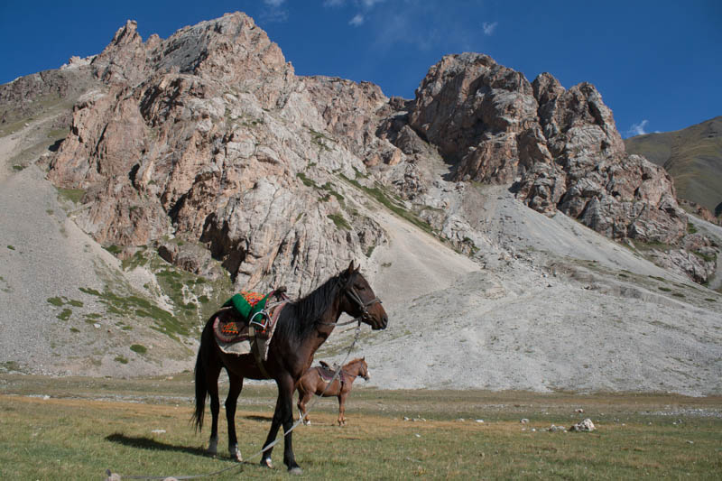 Pferdetrekking in Kirgistan
