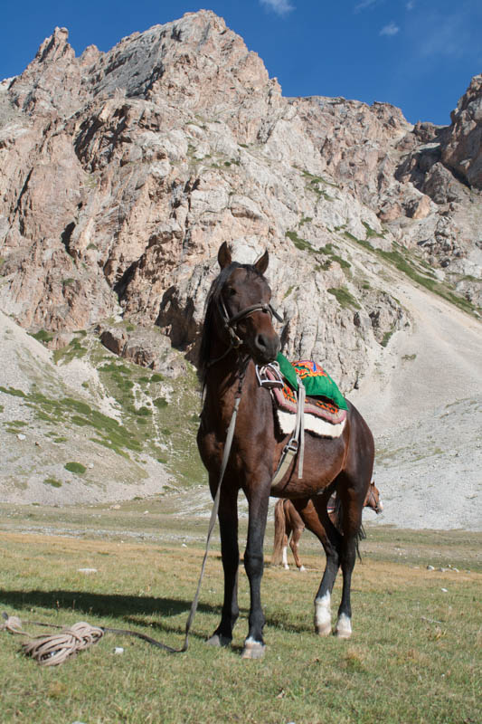 Pferdetrekking in Kirgistan