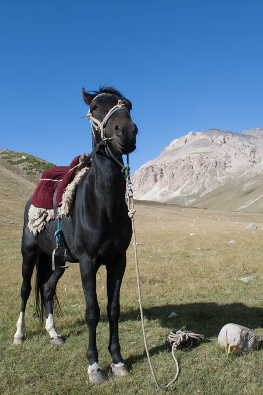 Pferdetrekking in Kirgistan