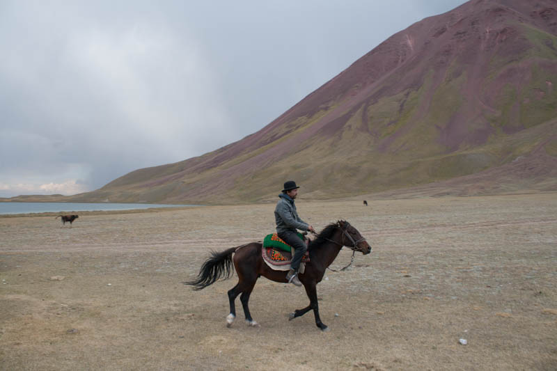 Pferdetrekking in Kirgistan