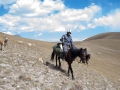 Pferdetrekking in Kirgistan Pferdetrekking in Kirgistan