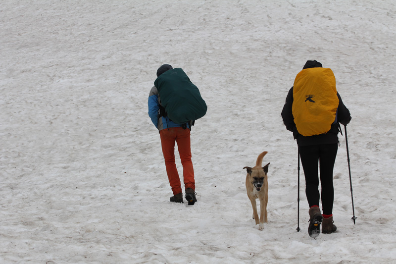 matze-altai-wandern-02