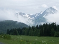 Altai