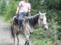 Pferde am Koindy See, Kasachstan Pferde am Koindy See, Kasachstan