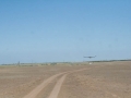 Steppe Steppe