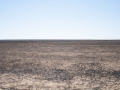 Steppe Steppe