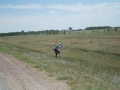 Steppe Steppe