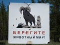 Steppe Steppe