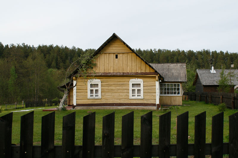 Dorf im Wald