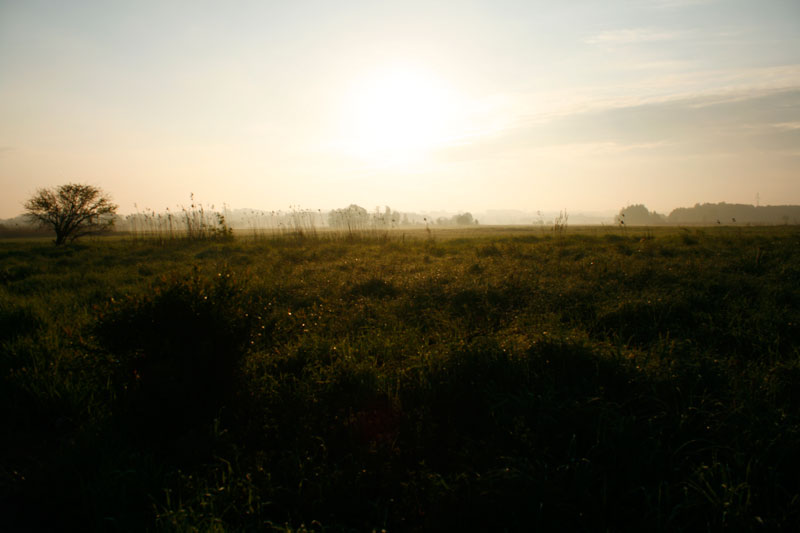 Morgenlicht Morgenlicht