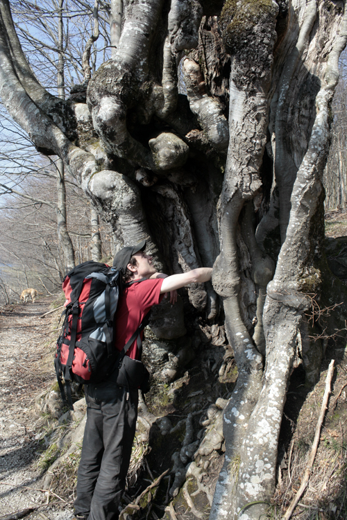 Matze & Baum Matze & Baum