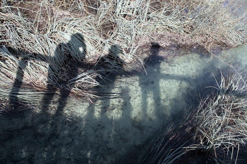 Schatten Schatten