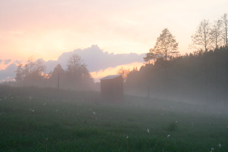 Stiller Ort im Nebel