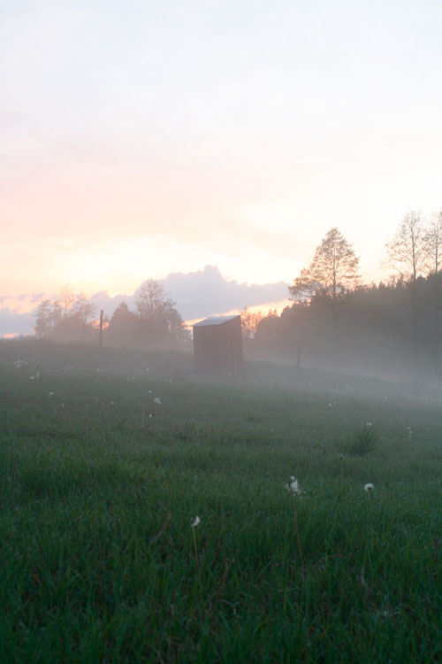 Stiller Ort im Nebel