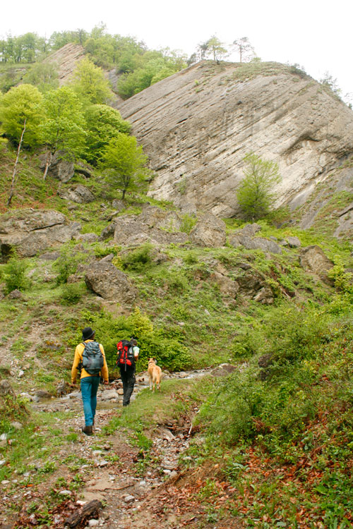 Wanderweg Brezoi Wanderweg Brezoi