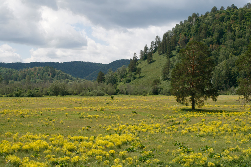 Shulgan Tash Nationalpark