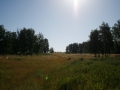 Steppe Steppe