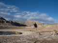 Geysir