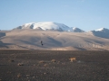 Karakul