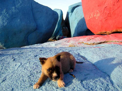 Sidi auf den blauen Felsen